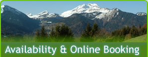 Morzine Hotels
