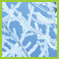 SNOW Guarantee 2008/9