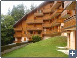 Accommodation, Morzinelets - Vieux Moulins Ranfolly